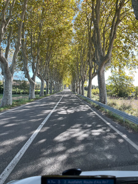 Beautiful alley in Provence (motorhome camping in France)