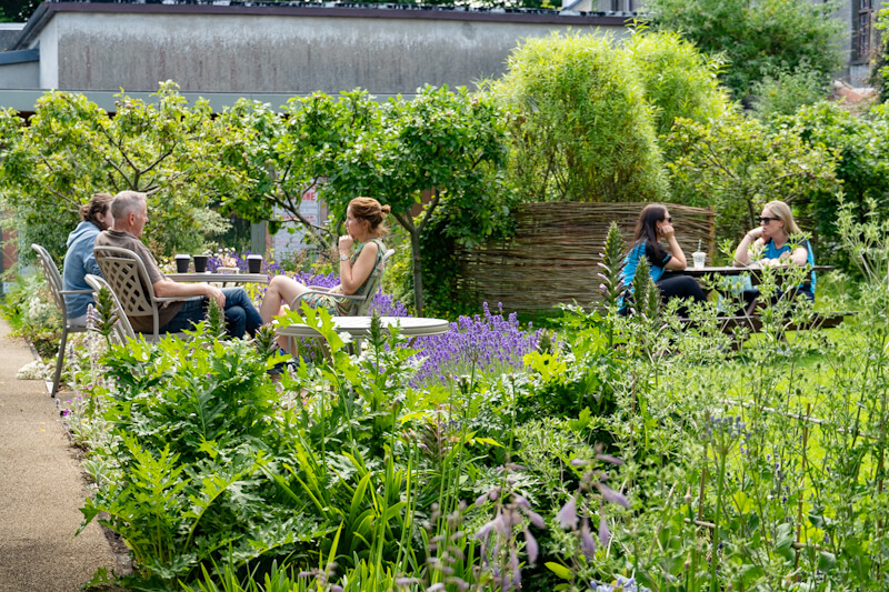 Gardens at Jackie Clarke Collection