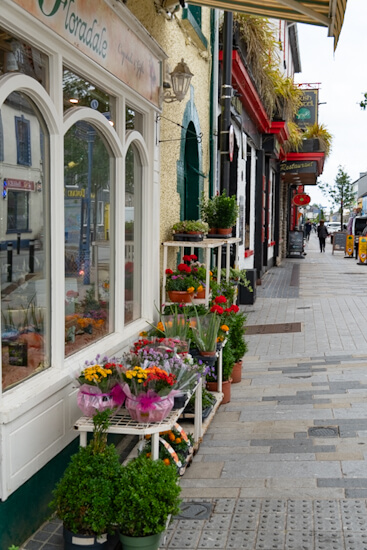 Flower shop in town