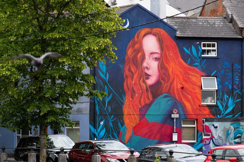 Wall Art in Cork